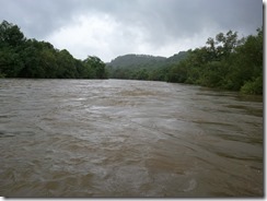 WP_001263