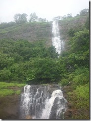WP_001269