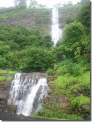 WP_001270