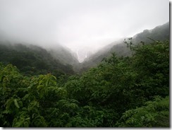 WP_001284
