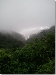WP_001287